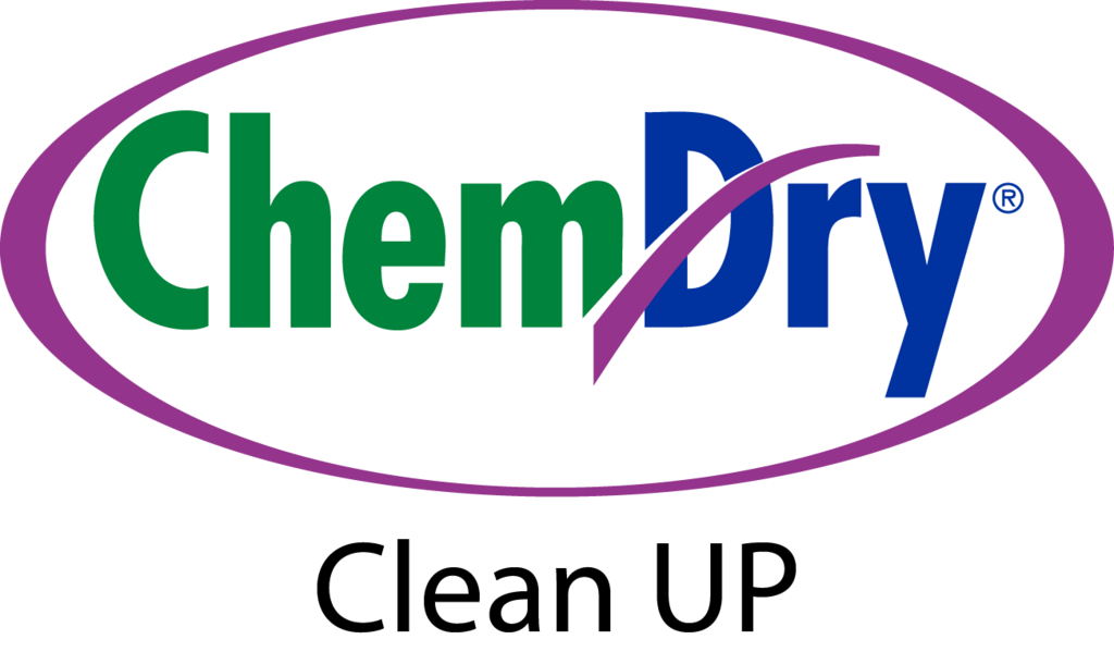 chemdrycleanup.com